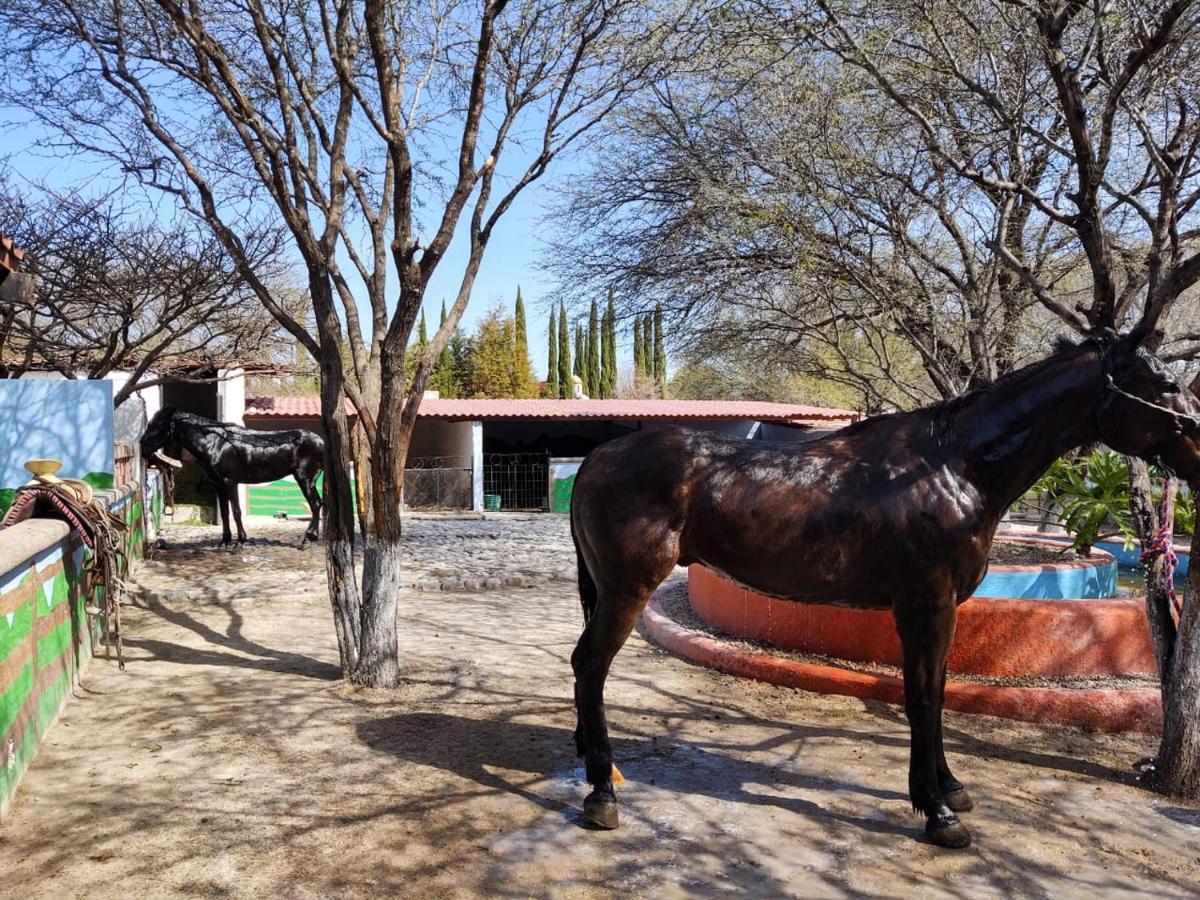 Rancho Labradores Atotonilco  Exterior photo